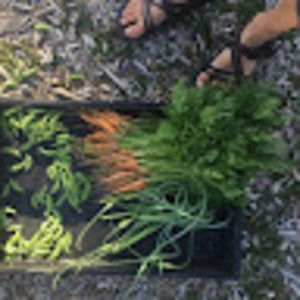 Meet your Posher, Alizabeth